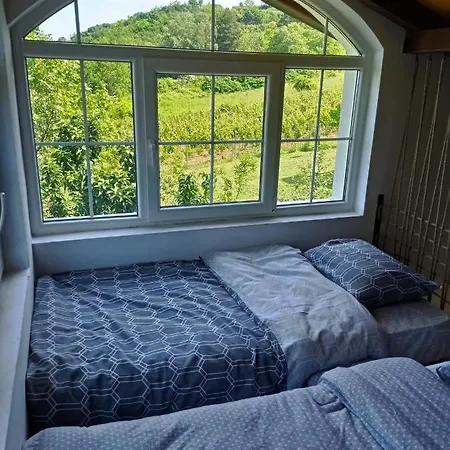 Vikendica Smokvica Holiday home *