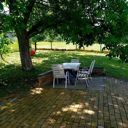 Vikendica Smokvica 斯雷姆斯基卡尔洛夫奇